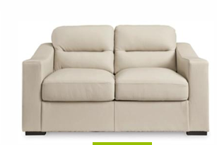 SOFA TREASURE TROVE LEATHER LOVESEAT 1930435