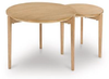 COFFEE TABLE COCKTAIL TABLE SET NABORLEE T5826-22
