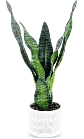 ACCESSORIES A54200034 GREENERY (4/CS) 50.8CM*25.4CM*22.8CM GREEN